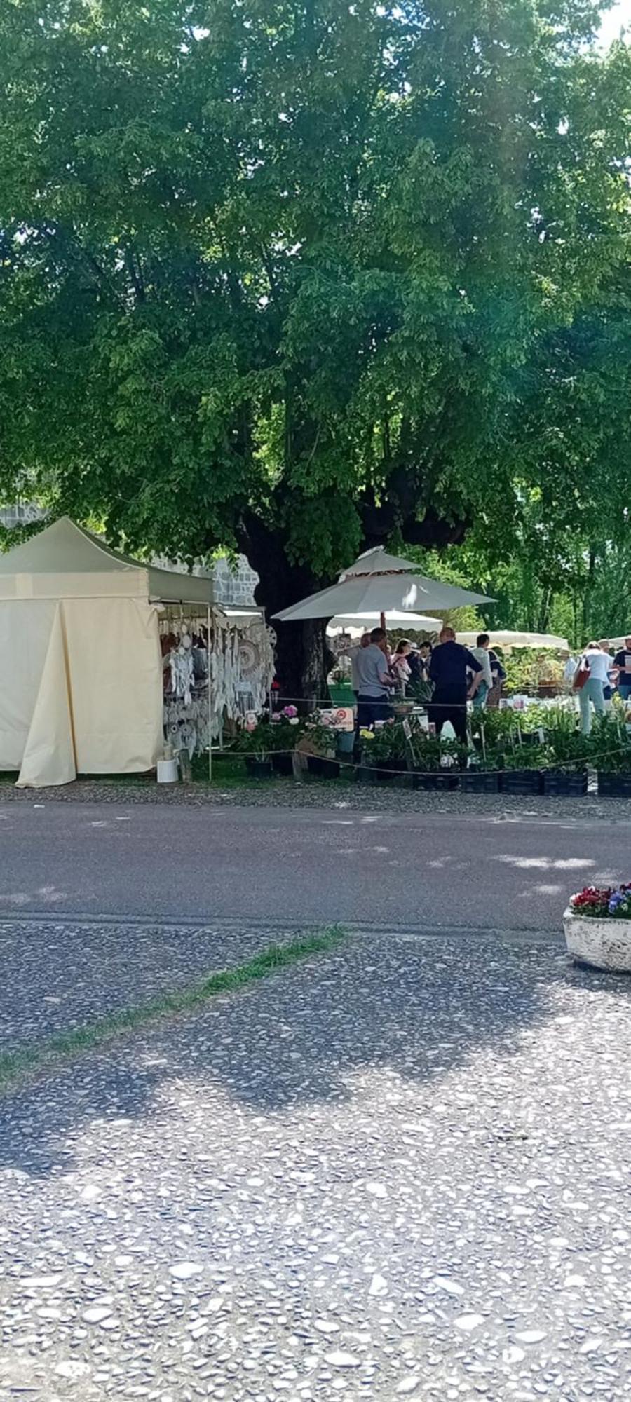 Tranquille Vienne Gites A Chirac Dept Charente المظهر الخارجي الصورة
